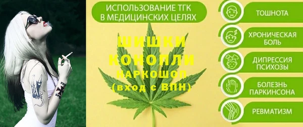 амф Пестово