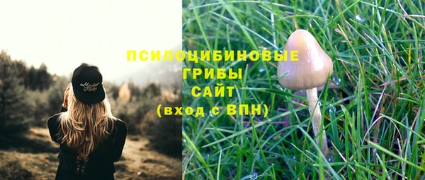 молекула духа Переславль-Залесский